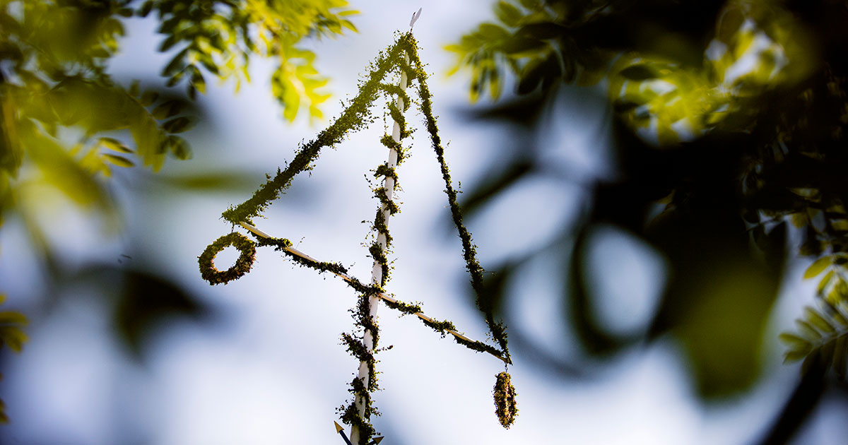 Oddsen säger sol på midsommar