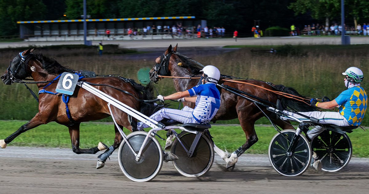 Elitloppet 2024 – odds och startfält